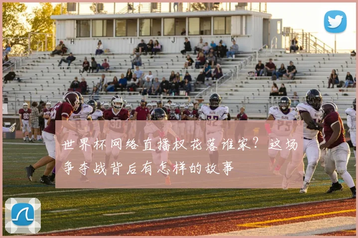 世界杯网络直播权花落谁家？这场争夺战背后有怎样的故事