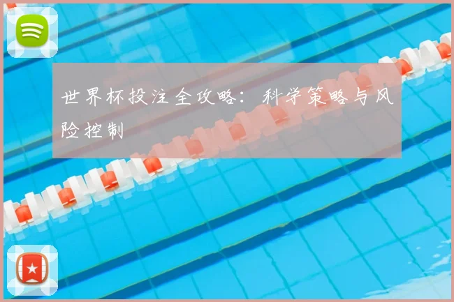 世界杯投注全攻略：科学策略与风险控制