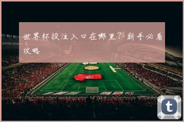世界杯投注入口在哪里？新手必看攻略