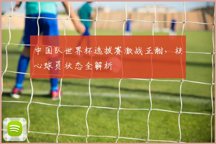 中国队世界杯选拔赛激战正酣，核心球员状态全解析