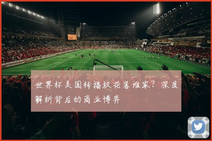 世界杯美国转播权花落谁家？深度解析背后的商业博弈