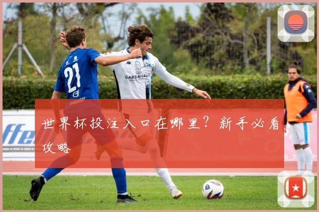 世界杯投注入口在哪里？新手必看攻略