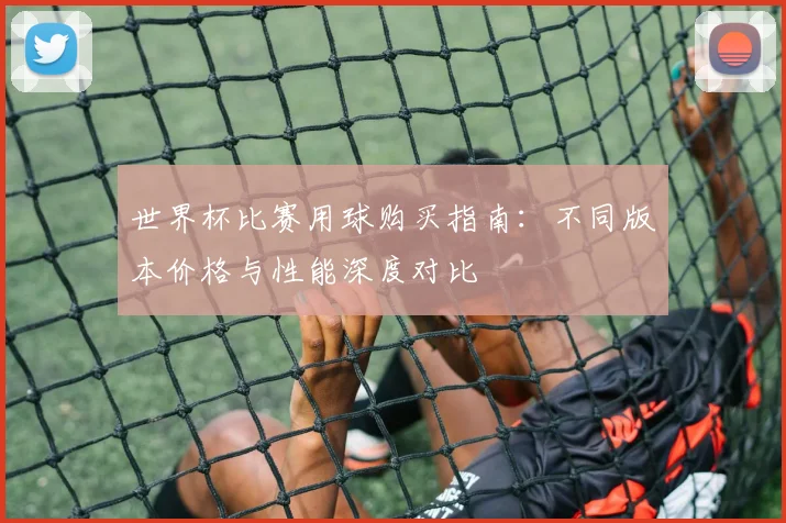 世界杯比赛用球购买指南：不同版本价格与性能深度对比