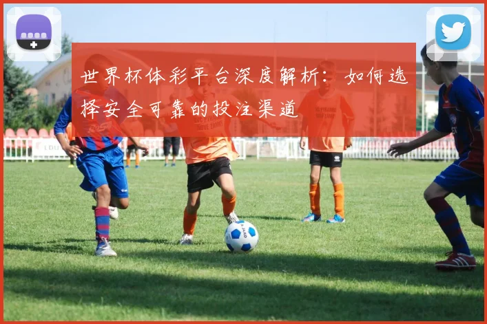 世界杯体彩平台深度解析：如何选择安全可靠的投注渠道