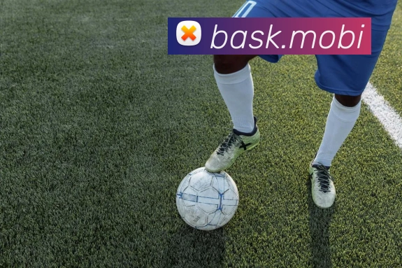 开云手机入口登录官网发展历程